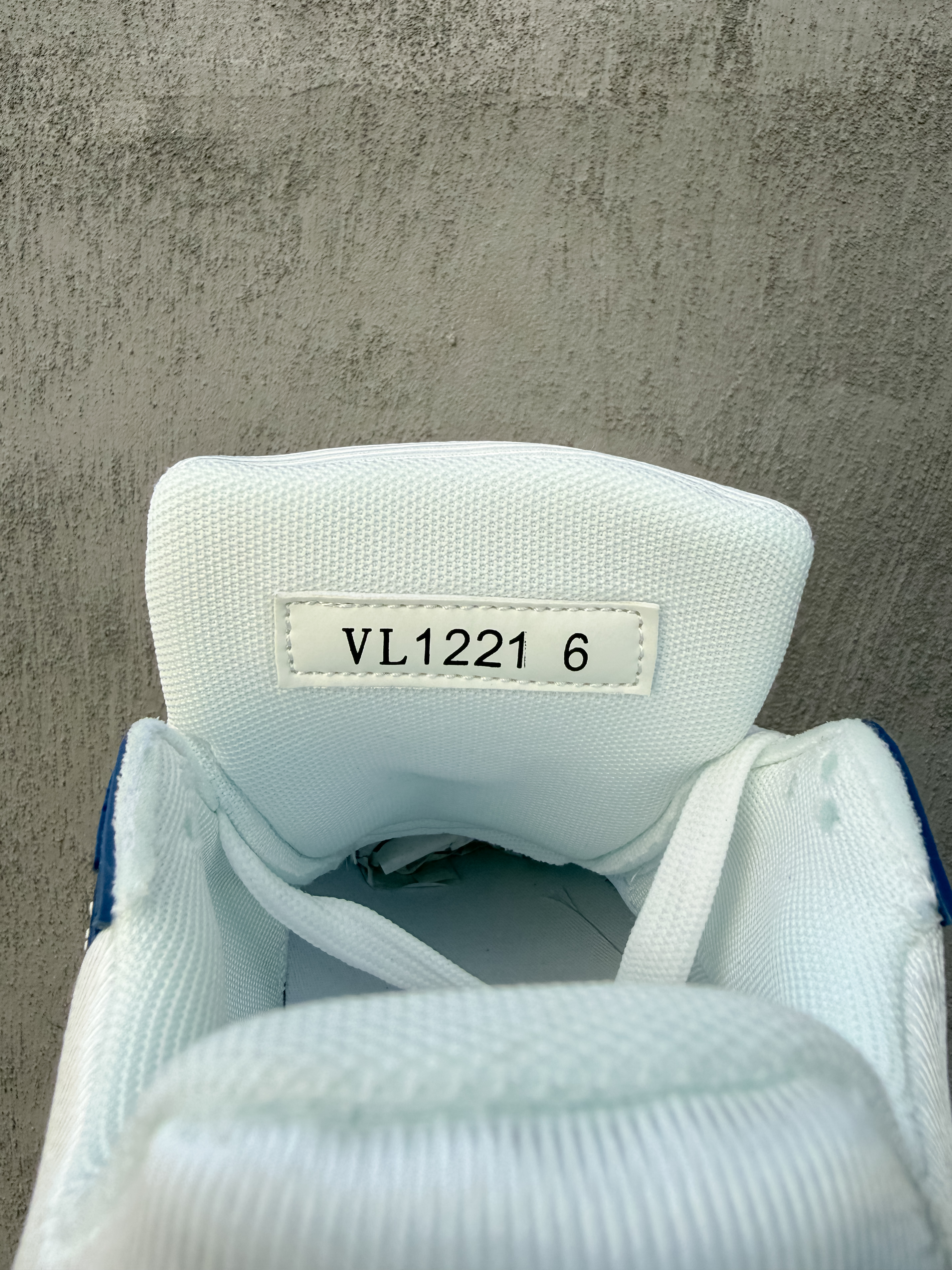 Louis Vuitton Trainer Blue
