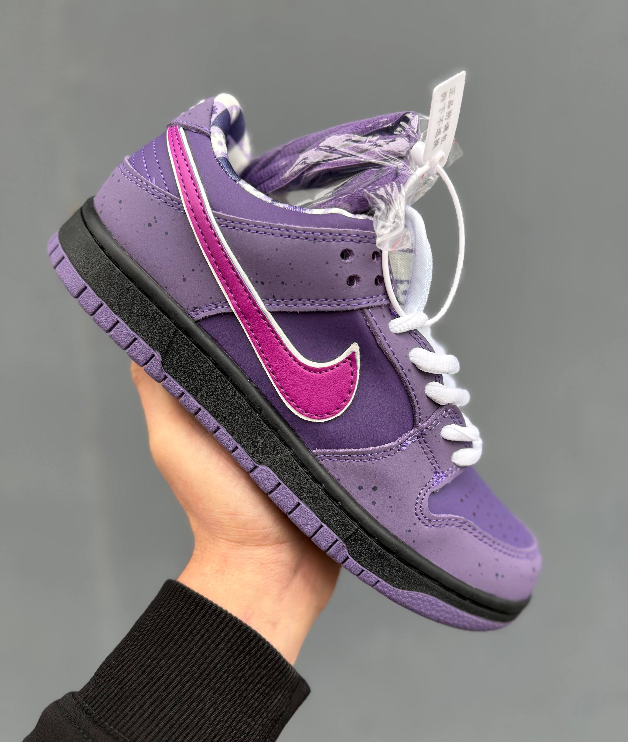 Nike SB Dunk x Purple Lobster